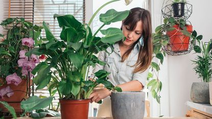 A woman tends to a potted peace lily