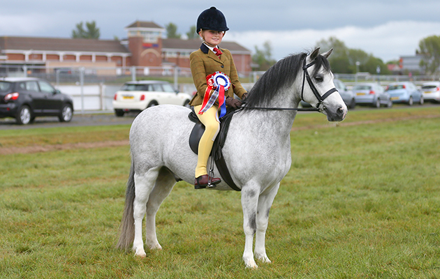 Ayr County Show 2017