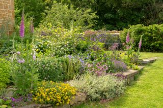 Garden border filled with cottage garden plants beside lawn area