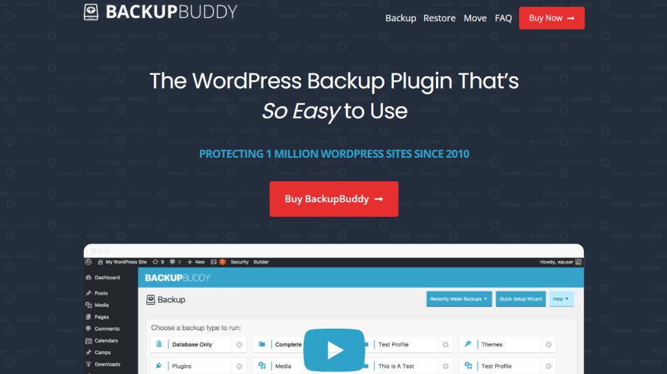 Tangkapan layar situs web untuk BackupBuddy