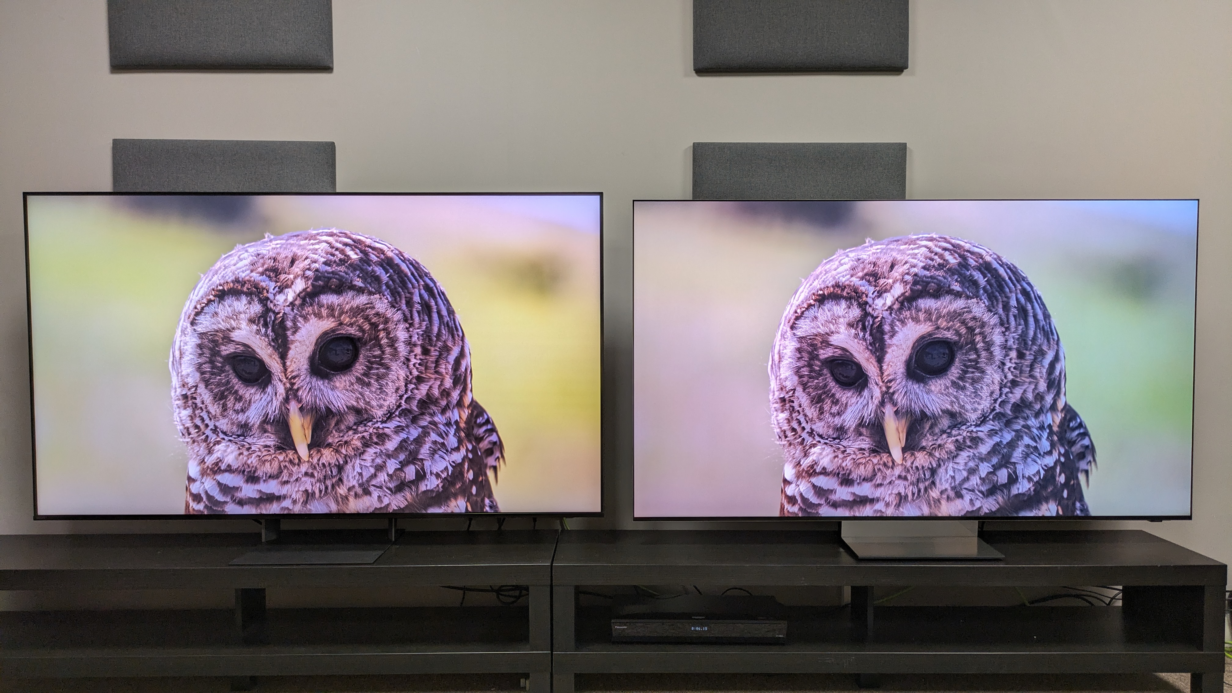 Sony Bravia 7 II (left) vs Samsung R95H (right) showing an owl on screen. Both TVs show excellent detail 