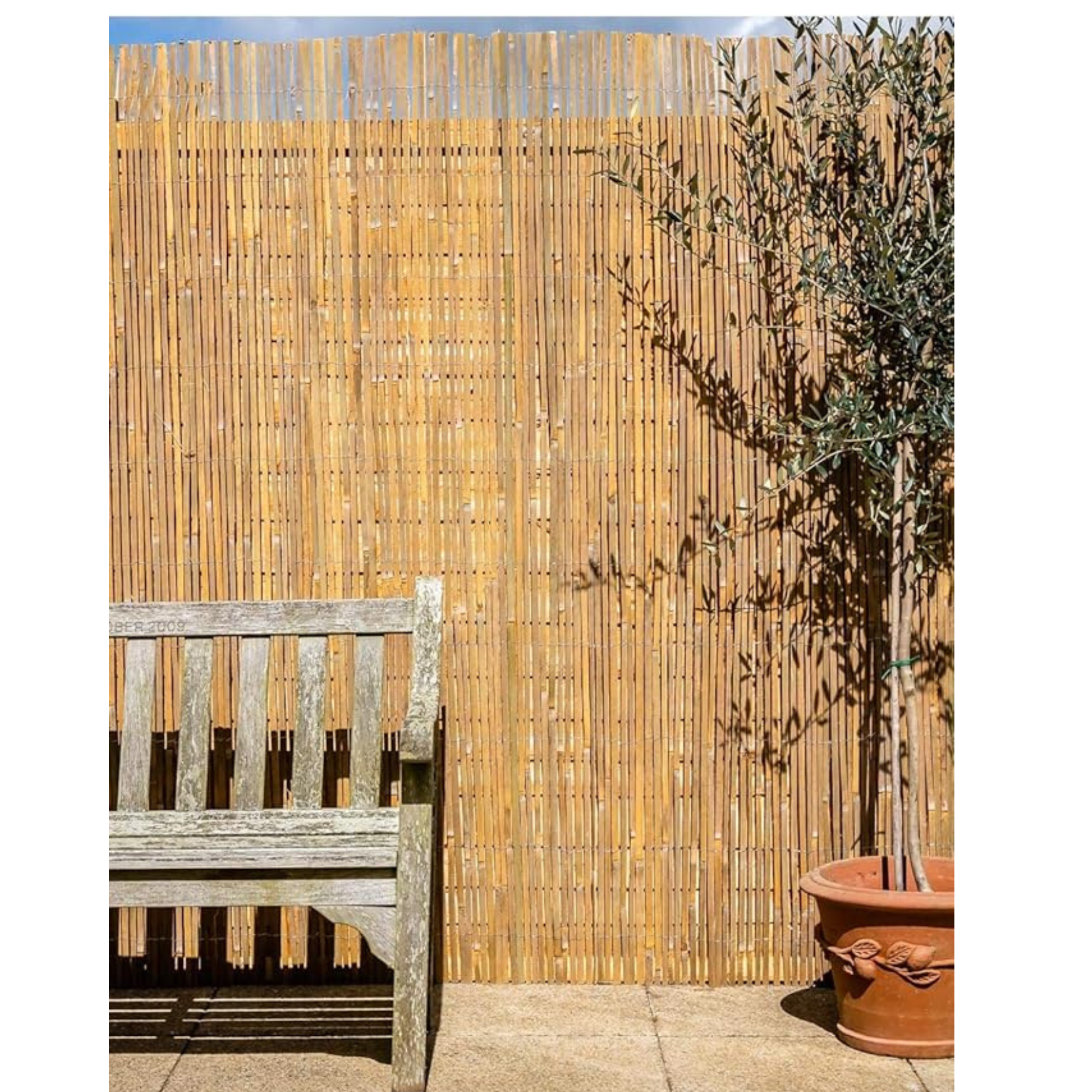 Papillon Bamboo Slat Natural Garden Fence Screening Roll