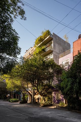 condesa apartment building hidden behind greenery
