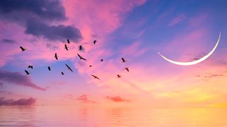 Aries season 2023: The waning moon was in the middle of the sea at sunset, and birds flew.