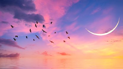 January New Moon 2023: The waning moon was in the middle of the sea at sunset, and birds flew.