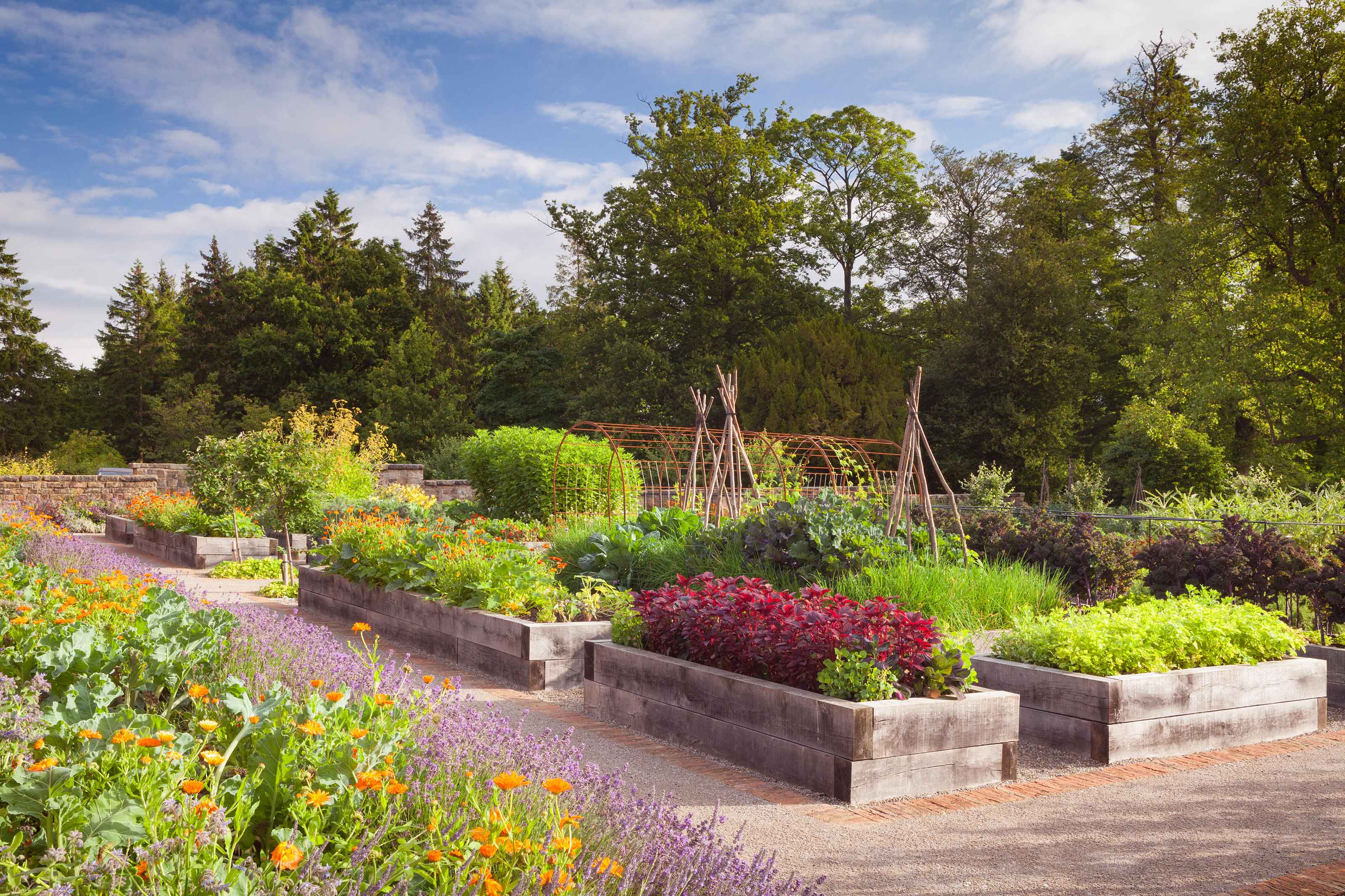 raised beds made from sleepers in vegetable garden