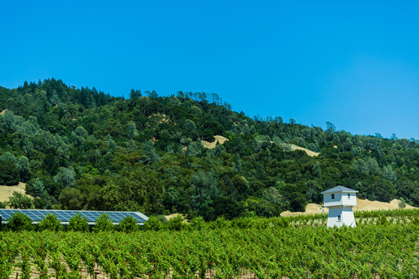 Silver Oak Anderson Valley Estate