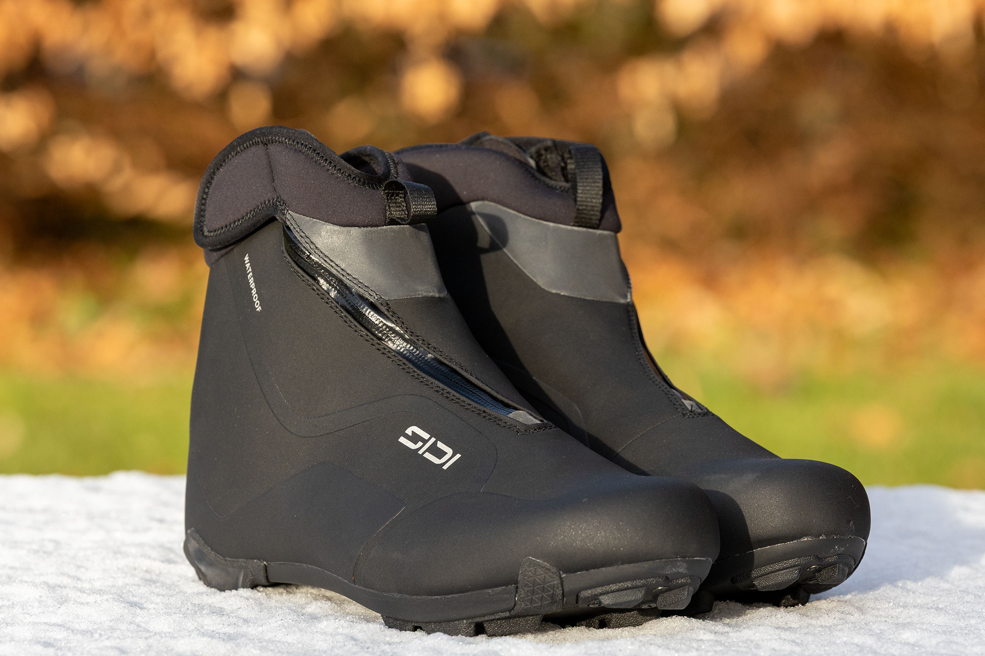 Sidi Nubes shot three-quarters on, sitting on light snow