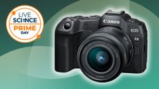 Canon EOS R8 with 24-50mm f/4.5-6.3 lens on a green background
