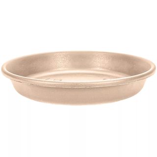 plater tray saucer