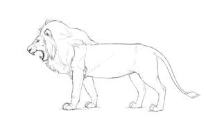 sketch of lion