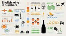 english wine stats