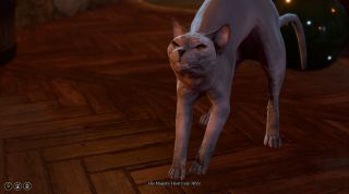 Baldur's Gate 3's last patch quietly clothed a formerly-nude cat, and