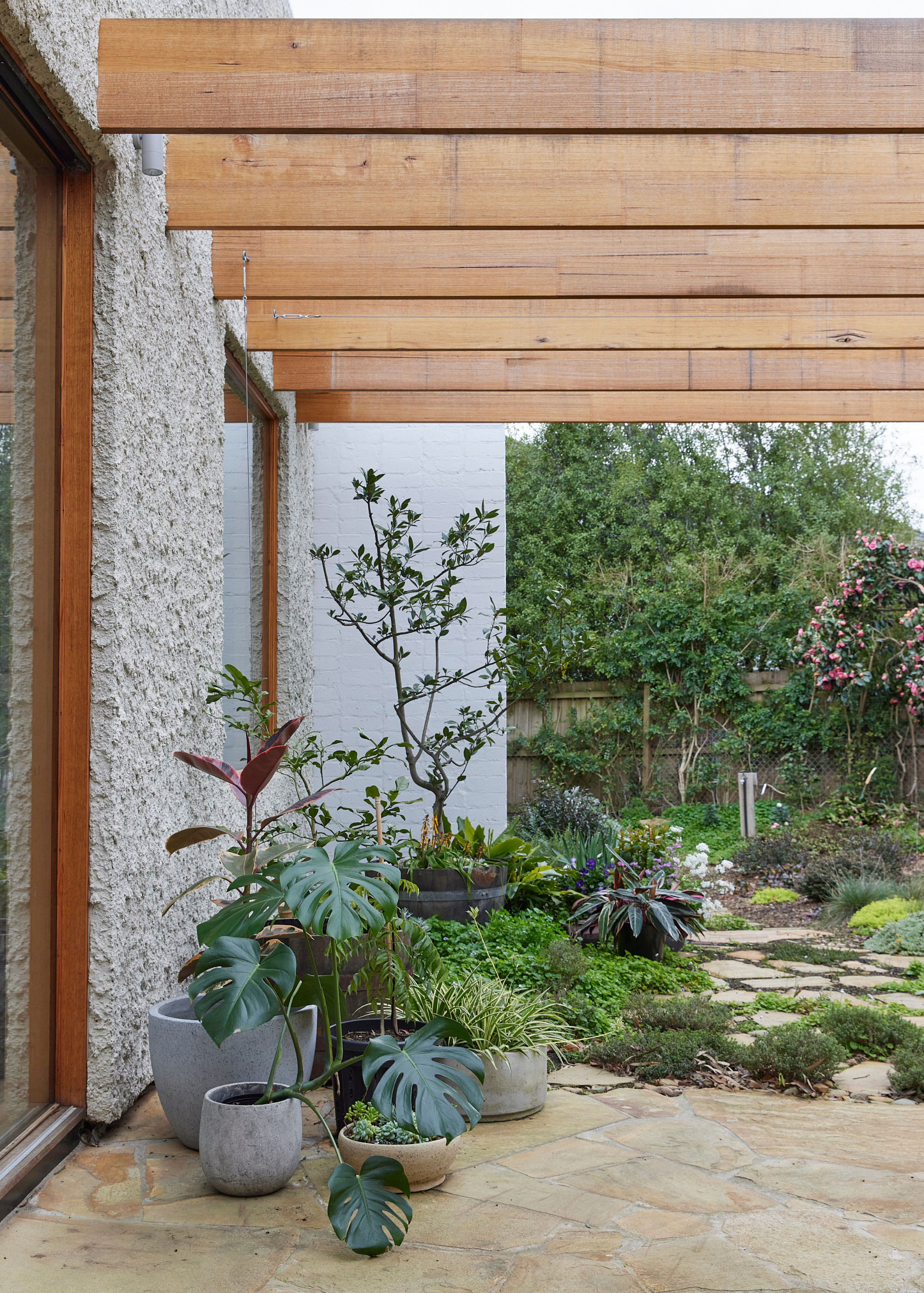 A backyard with a container garden of potted plants