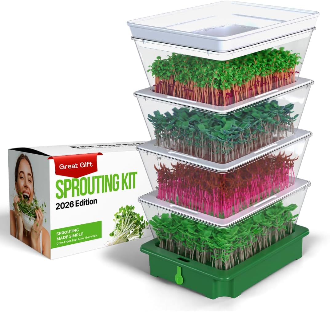 Zestigreens 4-Tier Sprouting Kit With Drain Spout &amp;ndash; Stackable Seed Sprouter Trays for Growing Fresh Sprouts at Home &amp;ndash; Bpa-Free, Easy Rinse &amp;amp; Drain System