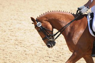 Hyperflexion or Rollkur (Picture: Alamy)