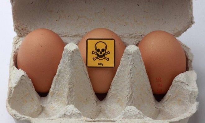 No, this doesn&amp;#039;t mean you should go out and eat rotten eggs.