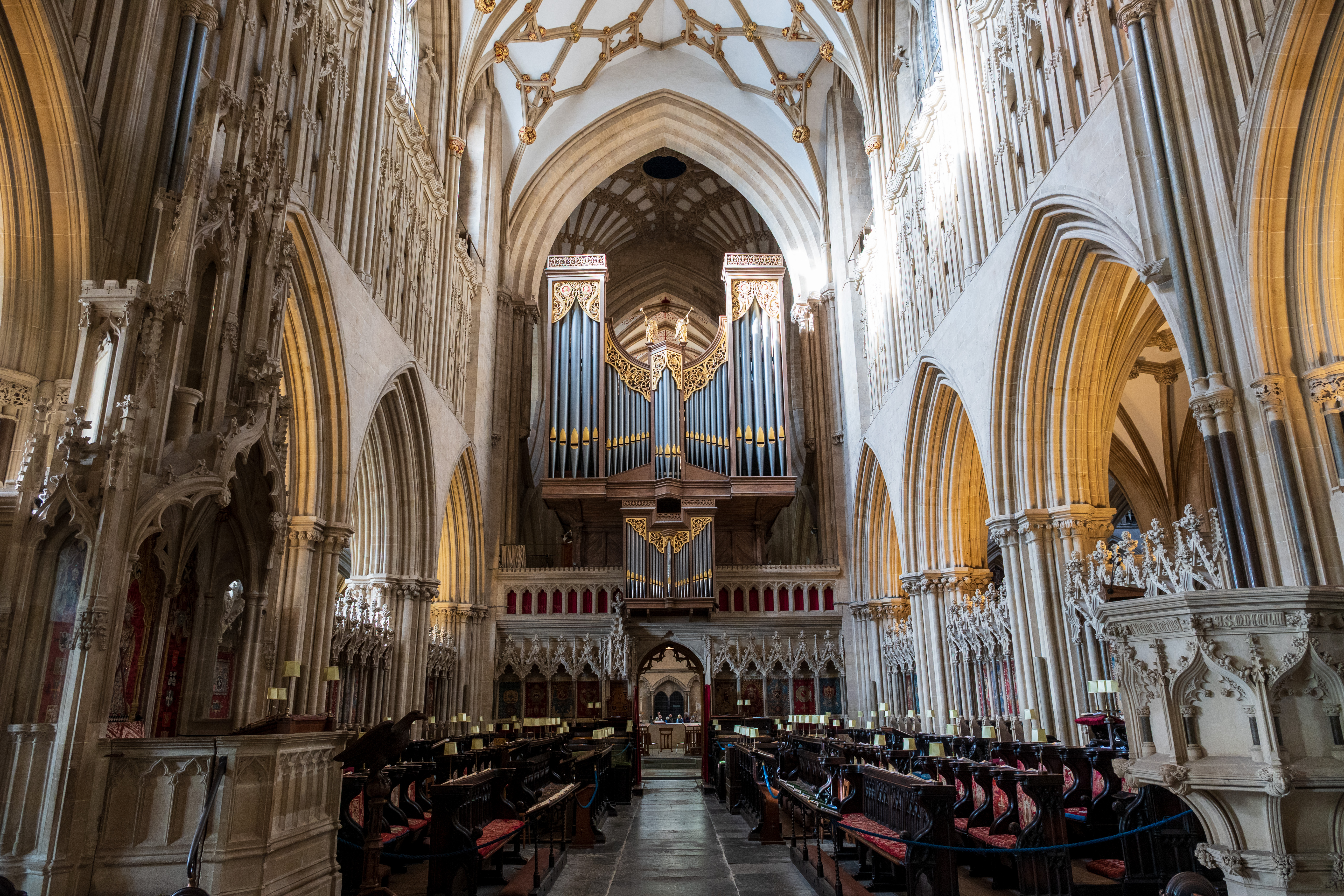 Nikon Z DX 16-50mm f/2.8 VR example shot