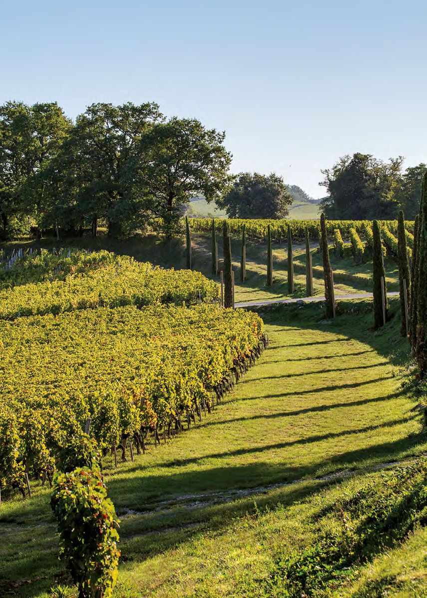 Clarence Dillion estate France