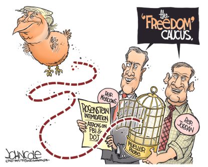 Political cartoon U.S. Freedom caucus Trump Meadows Jordan Rosenstein FBI DOJ Mueller probe Russia investigation