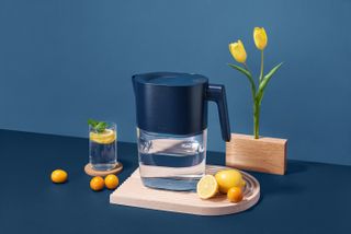 The LARQ Pitcher is a great way to cut down on plastic use. 