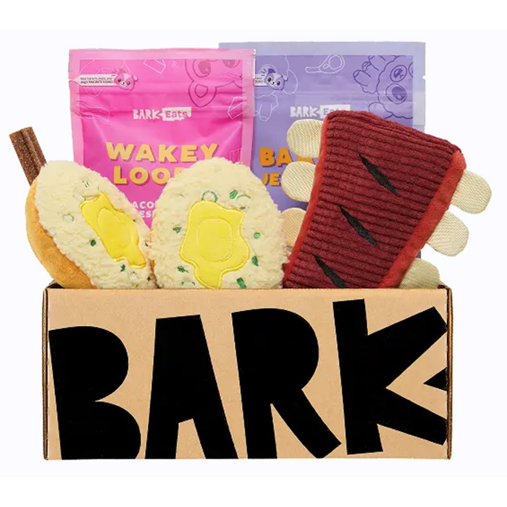 BarkBox with toys and treats