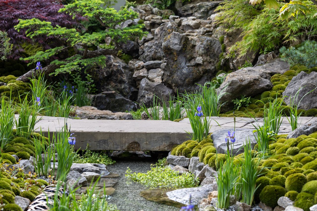 Details of the Tokonoma Garden &ndash; Sanumaya no Niwa, a nostalgic garden scene in a japanese style. IE lots of moss and bonsai and stones