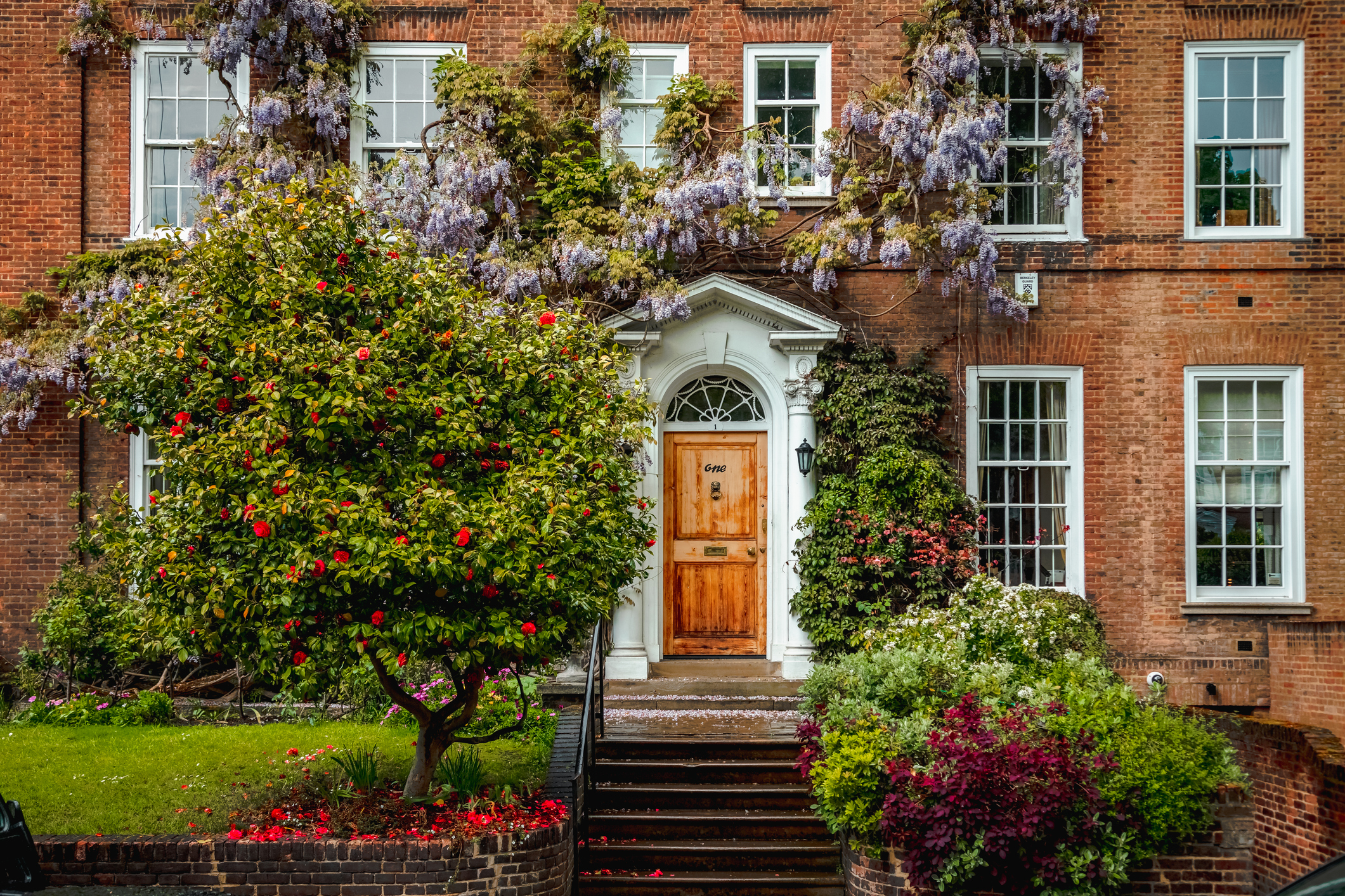 The photo showcases a picturesque street in Notting Hill, Kensington, and Chelsea in London, where rows of charming Georgian houses are covered in a delicate cascade of purple, blue or pink wisteria.