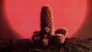 Cactus: Cactus cover art