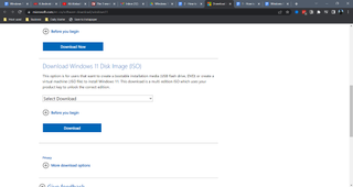 The menu on the Microsoft website for downloading a Windows 11 ISO file