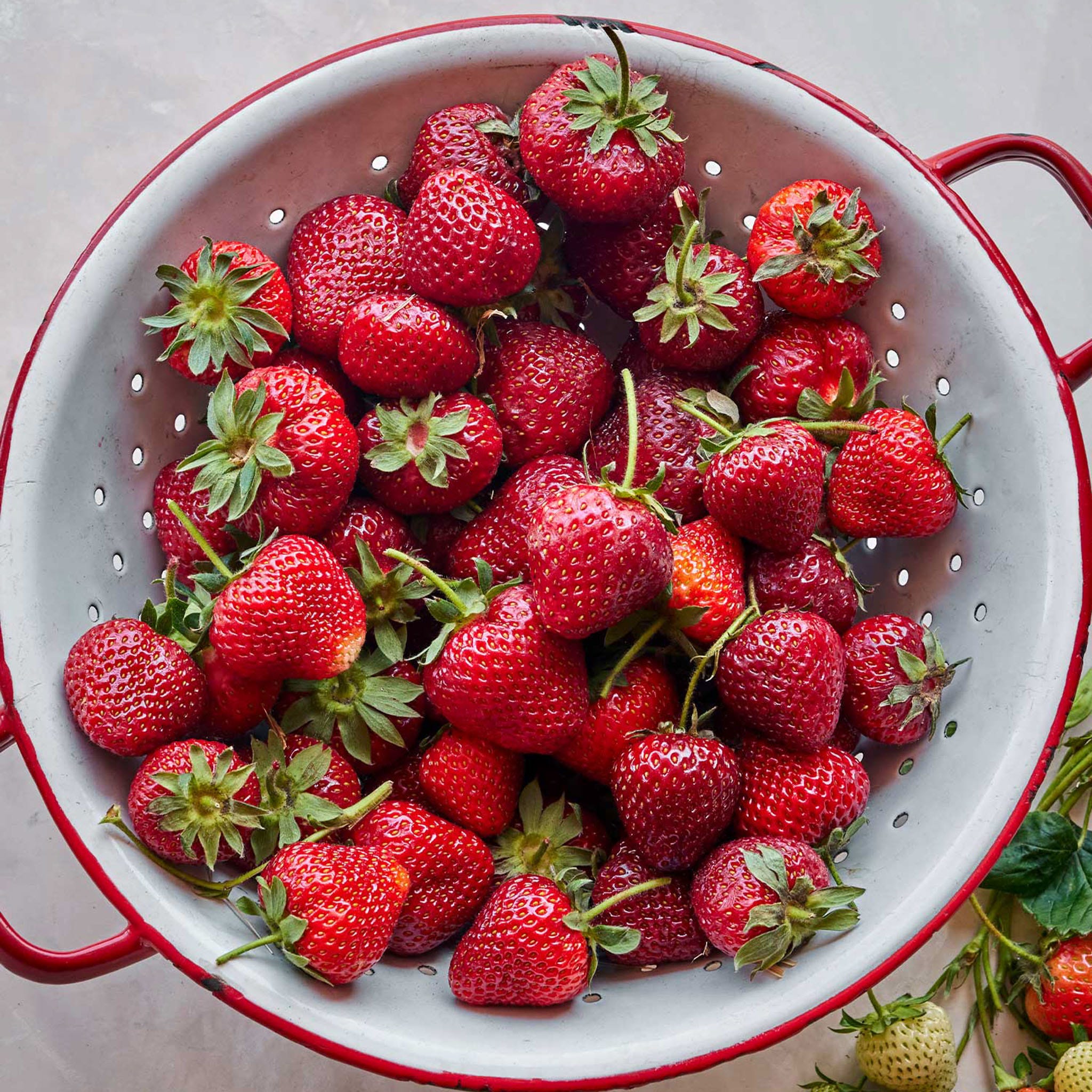 Honeoye Strawberry Bare Root