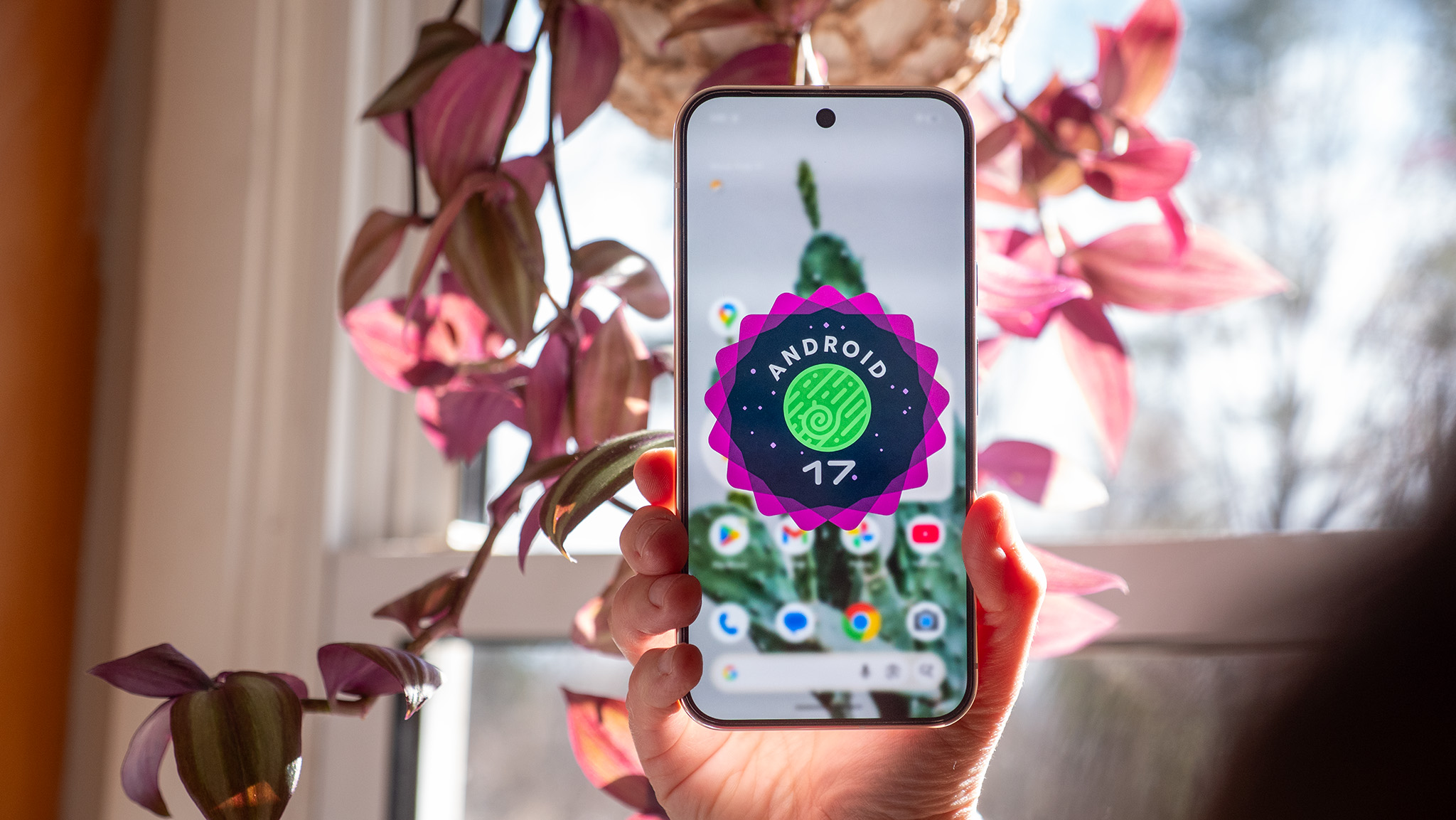 The Android 17 logo on a Google Pixel 10 Pro XL