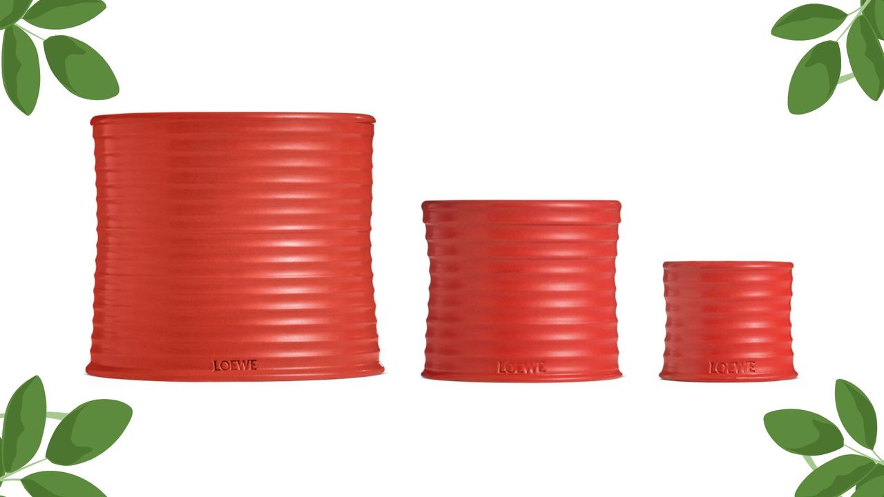 loewe&#039;s tomato candle in various sizes