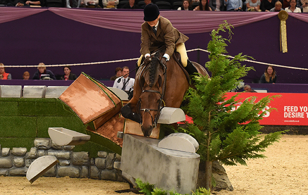 HOYS 2015 Cuddy Working Hunter of the Year Championship