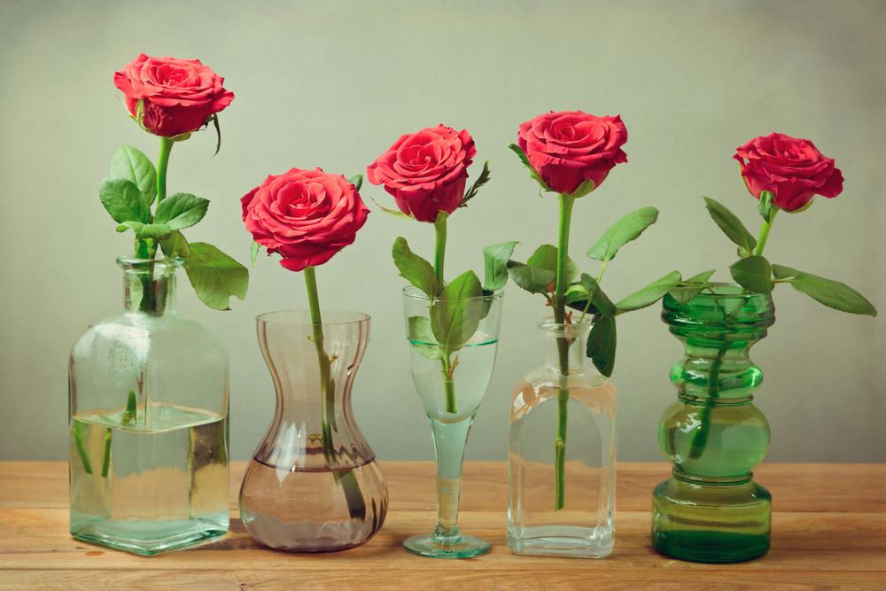 Vodka, Aspirin or 7Up What Keeps Flowers Fresh? Live Science