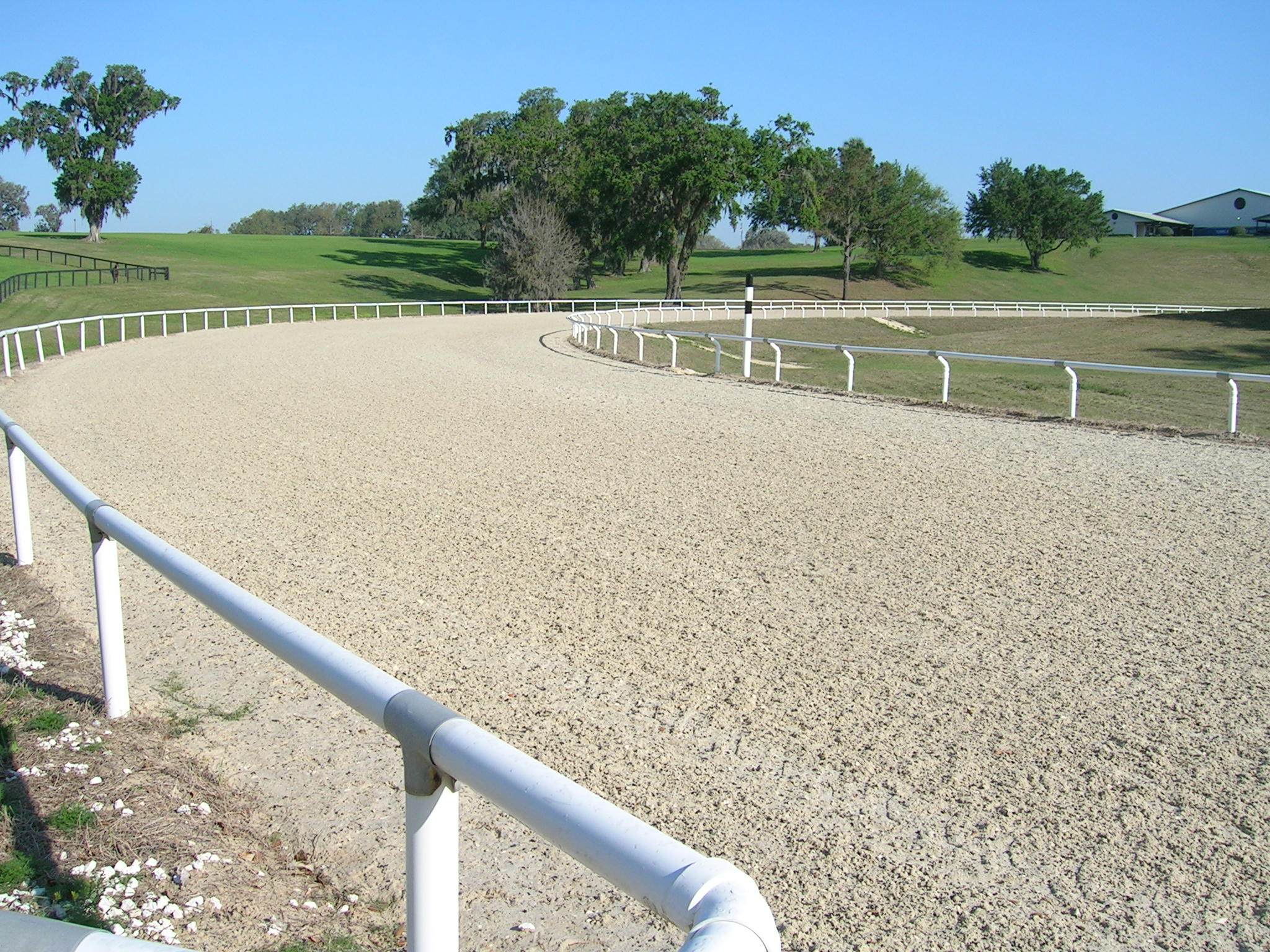 Gallop
