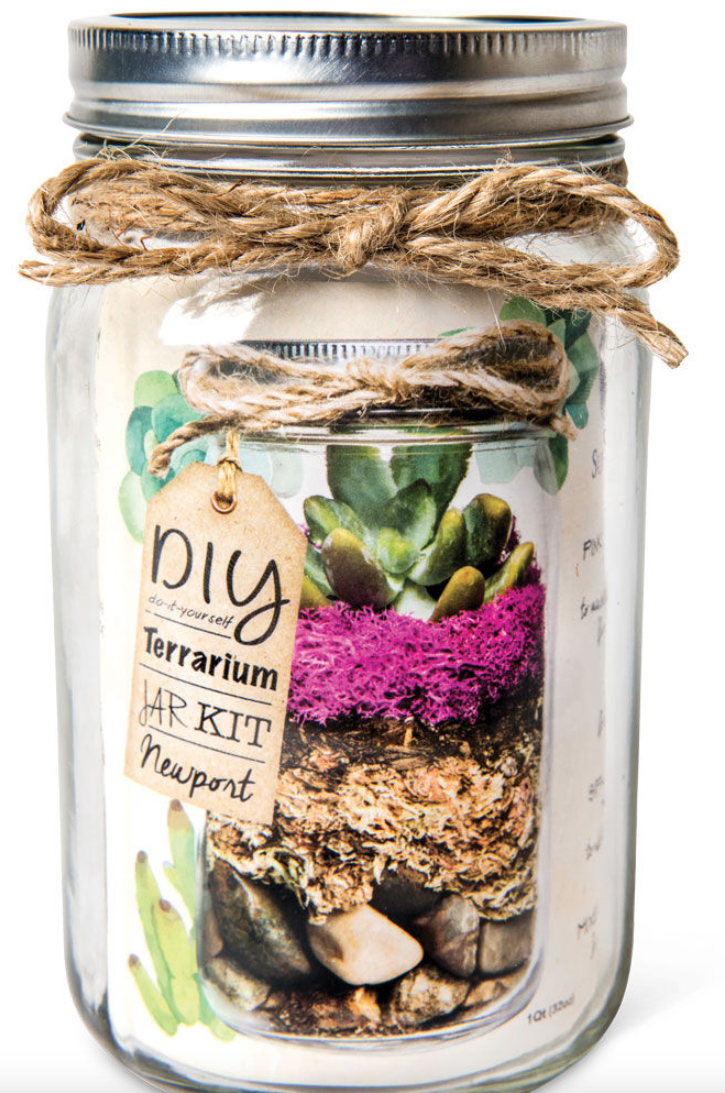 DIY Terrarium kar Kit 'Newport', $14.99