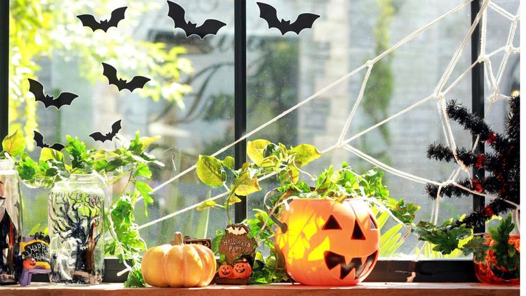 6 Halloween Window Decorations To Celebrate The Spooky Season Real Homes