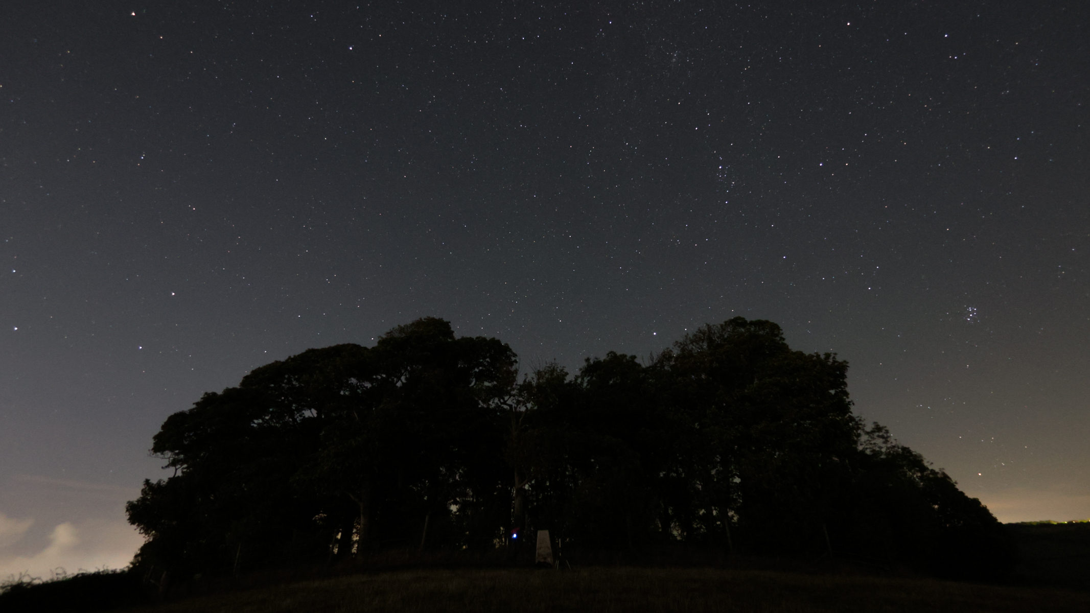A copse of trees with the starry night sky above it, taken with the Canon Powershot V1.