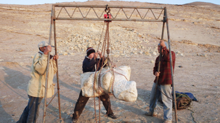 Three men use a pulley system to move a giant whale vertebra.