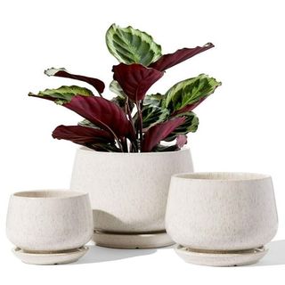 Bemay Ceramic Plant Pots,set of 3 (4.1