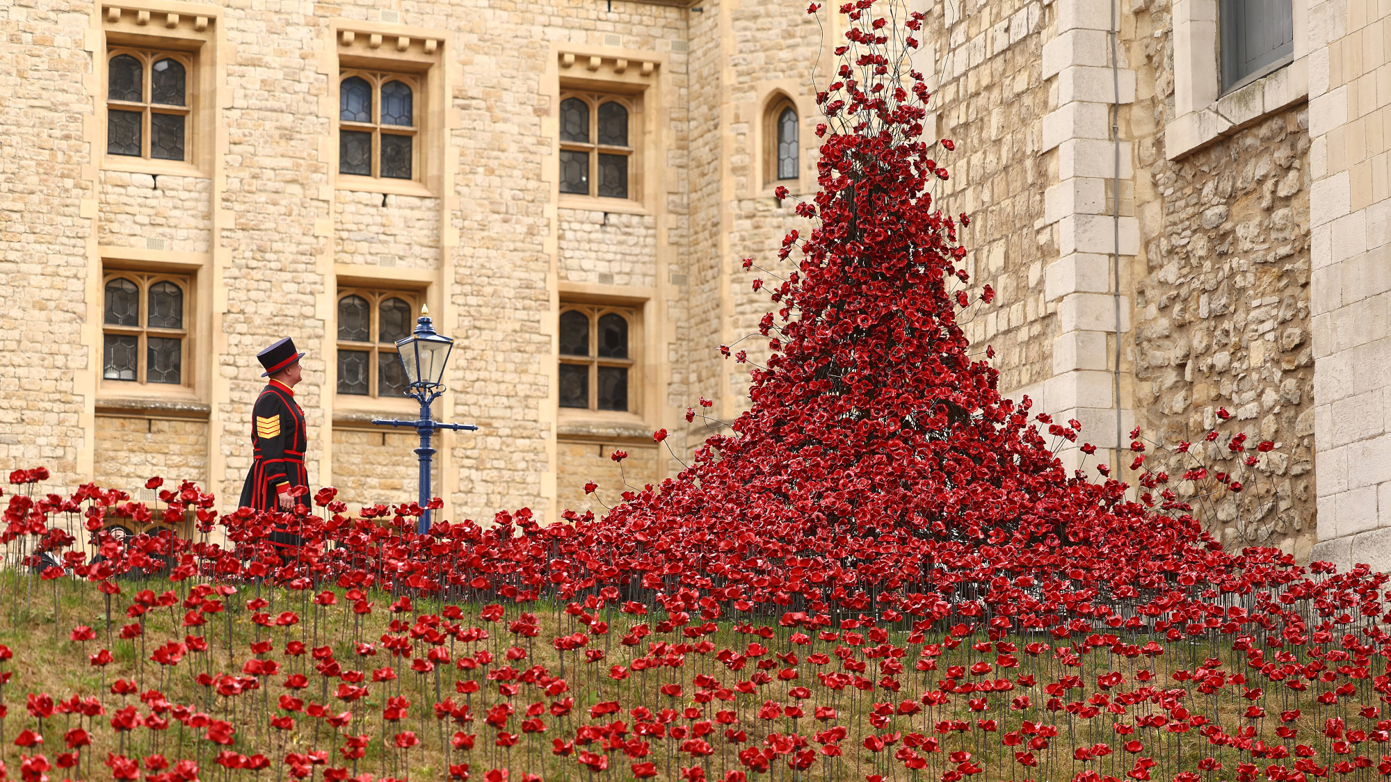 A man stands in front of a tower of poppies