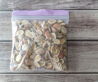 Seeds in a clear bag