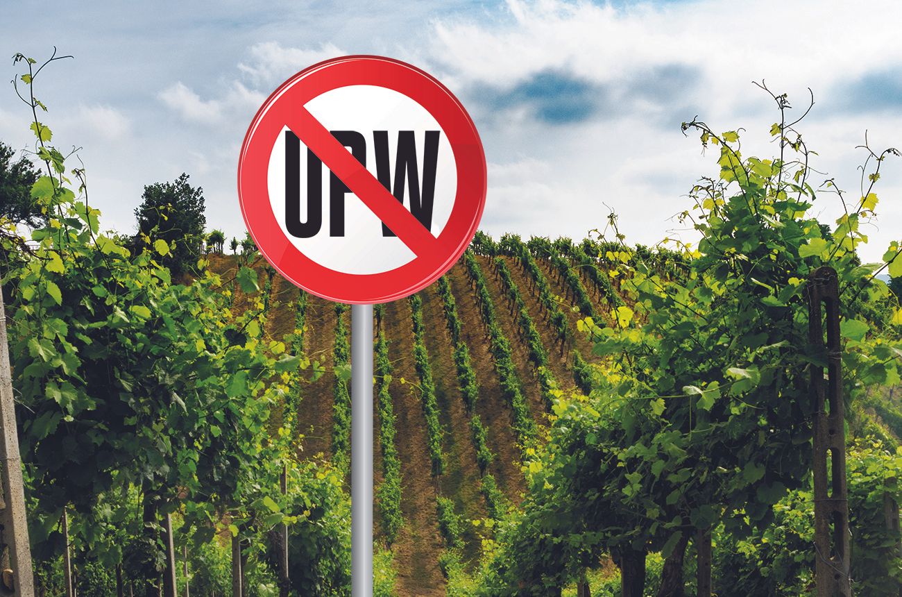 Ultra-processed wines… and how to avoid them