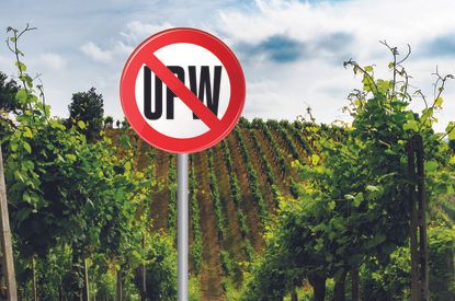 Processed wines