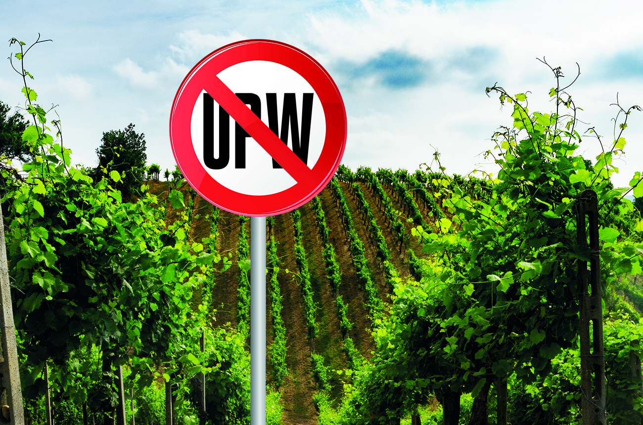 Processed wines