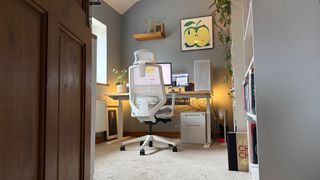 The Ergonomic Chair Pro in a home office. 