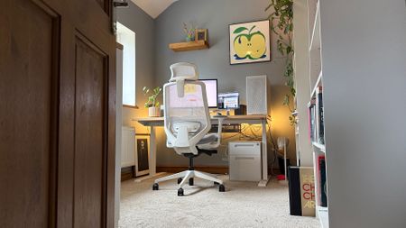 The Ergonomic Chair Pro in a home office. 