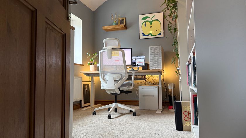 The Ergonomic Chair Pro in a home office. 