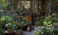 Lucy Hunter's Charleston garden